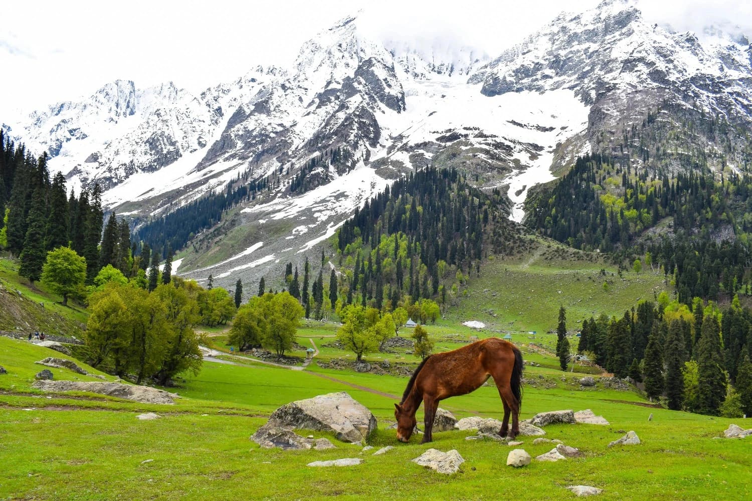 Kashmir Offbeat